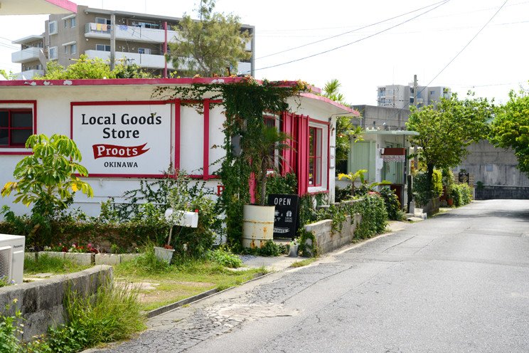 🏘️ 미나토가와 미군 주택가(미나토가와 스테이츠사이도 타운) 이미지 2